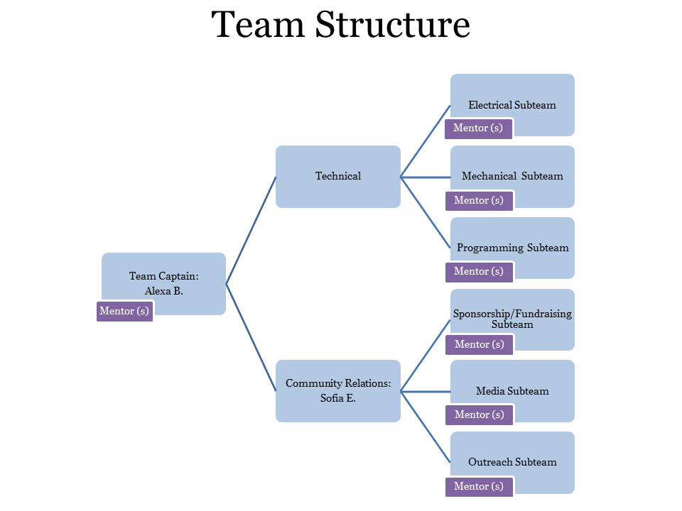 Team_Structure