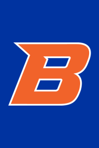 Link to Boise State Online web site