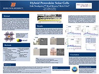 Research Poster - Erik Nordquist