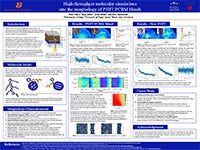 Research Poster - Paige Plaskonos