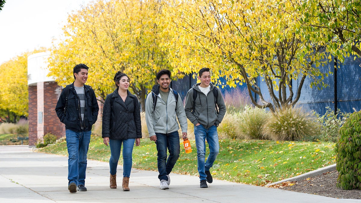 Four students walking on campus in the fall