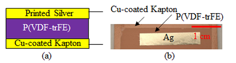 piezo tactile sensor